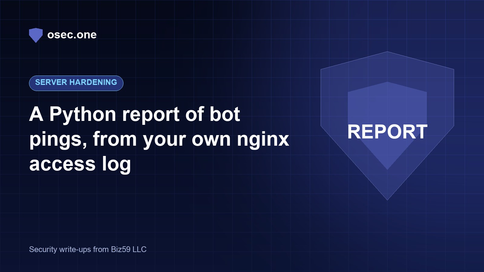 A Python report of bot pings, from your own nginx access log