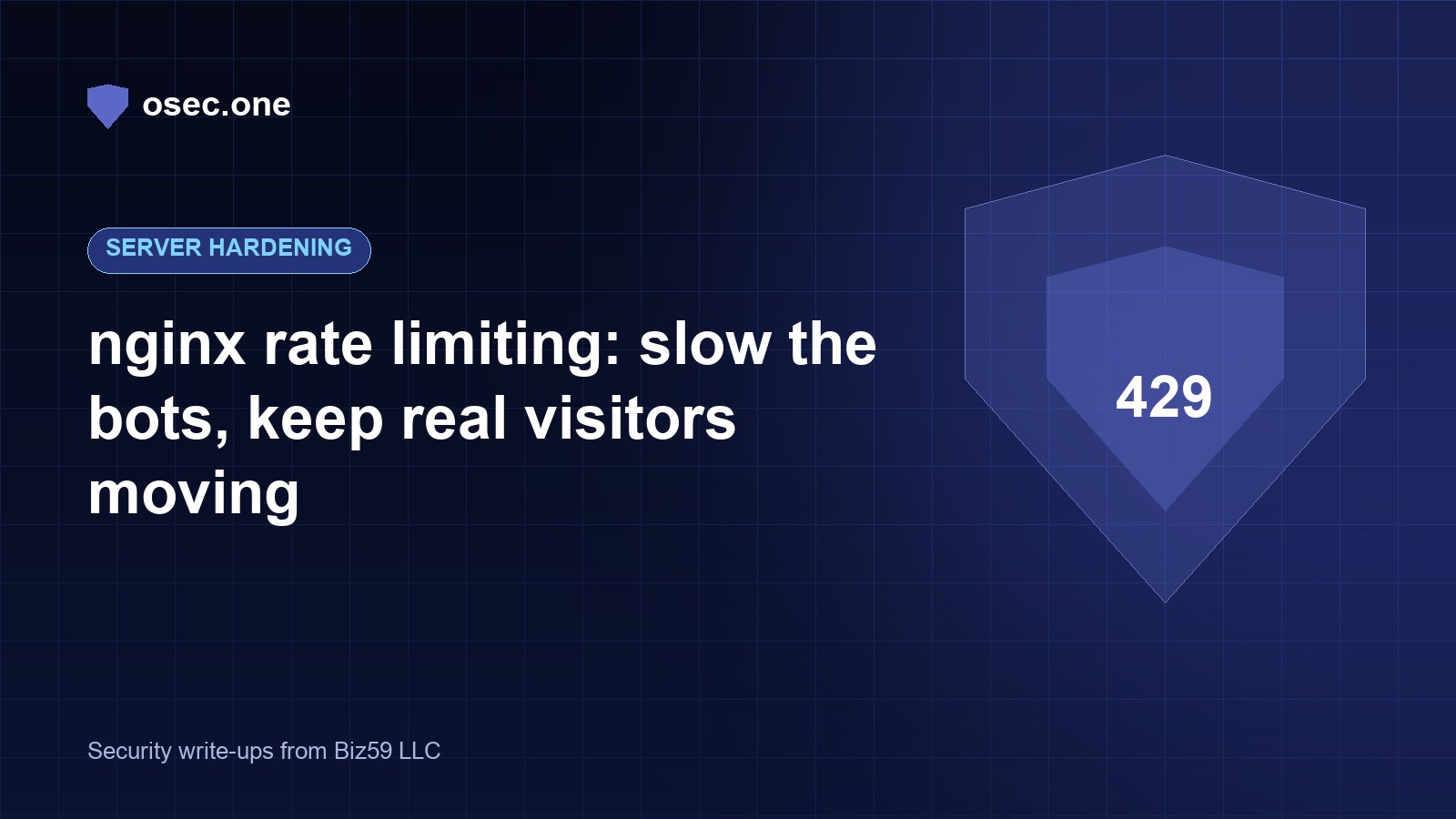 nginx rate limiting that slows bots without locking out people