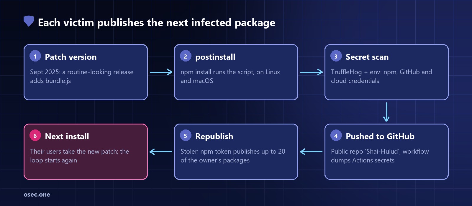 Attack chain: an infected package version is installed, its post-install script runs bundle.js, TruffleHog and environment variables give up npm, GitHub and cloud credentials, the secrets are pushed to a public GitHub repository named Shai-Hulud and through a workflow, the stolen npm token is used to publish infected patch versions of up to 20 of the maintainer's packages, and each of those infects whoever installs it next